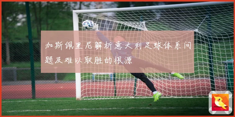 加斯佩里尼解析意大利足球体系问题及难以取胜的根源