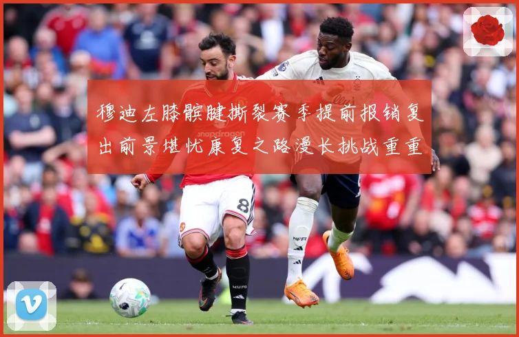 穆迪左膝髌腱撕裂赛季提前报销复出前景堪忧康复之路漫长挑战重重
