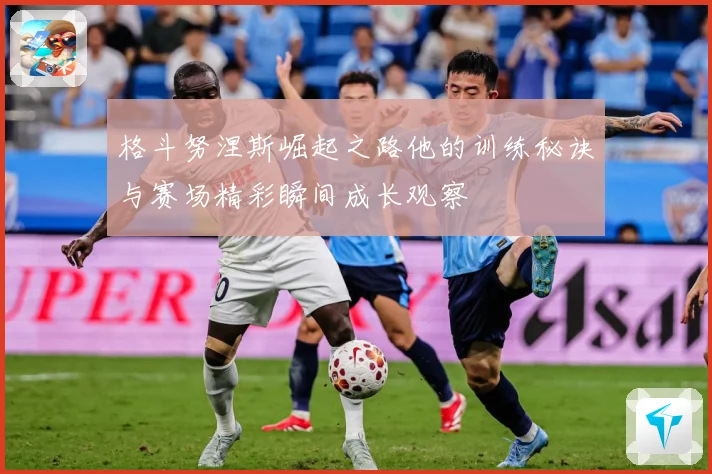 格斗努涅斯崛起之路他的训练秘诀与赛场精彩瞬间成长观察