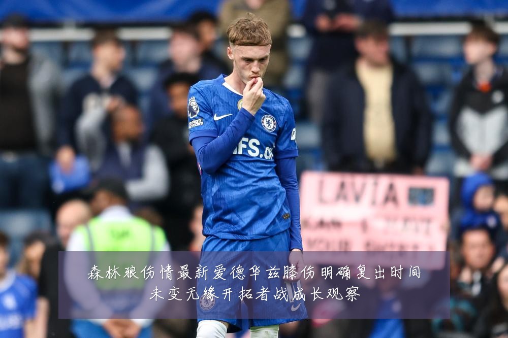 森林狼伤情最新爱德华兹膝伤明确复出时间未变无缘开拓者战成长观察