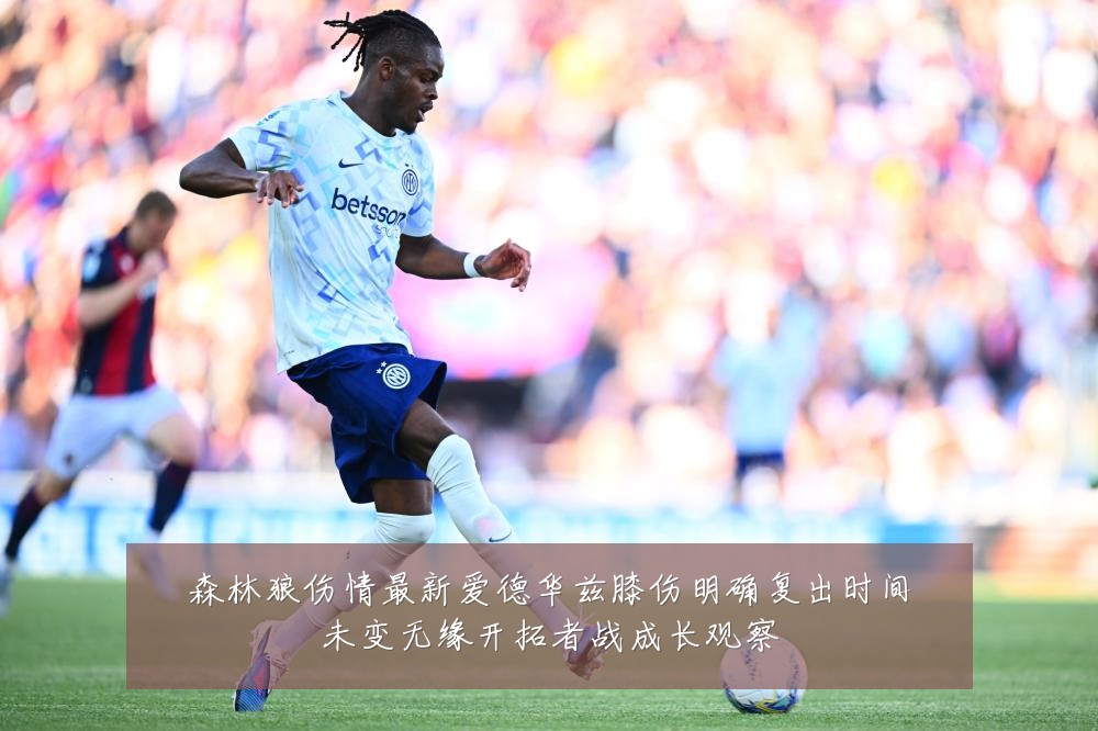 森林狼伤情最新爱德华兹膝伤明确复出时间未变无缘开拓者战成长观察